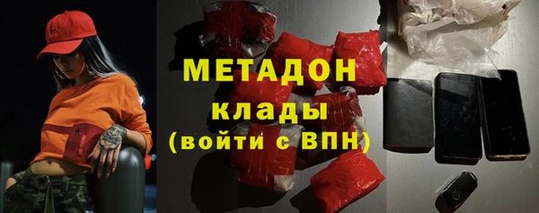 прущие грибы Дмитровск