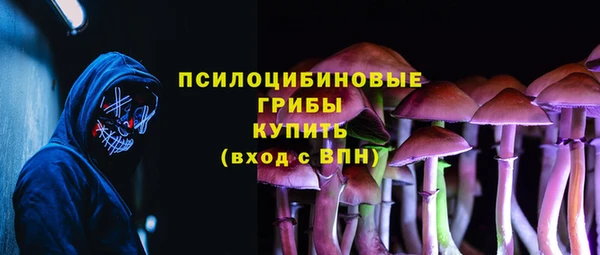 гидра Дмитров