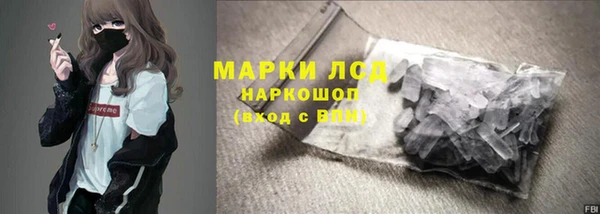 прущие грибы Дмитровск