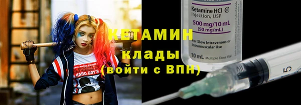 крисы Ельня