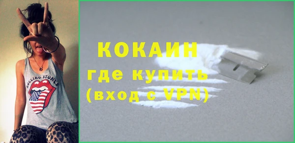 прущие грибы Дмитровск