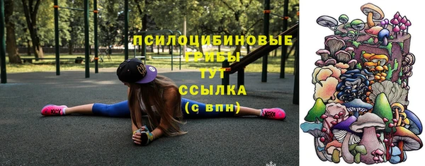 гидра Дмитров