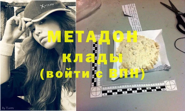 прущие грибы Дмитровск
