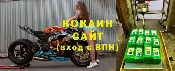 гидра Дмитров