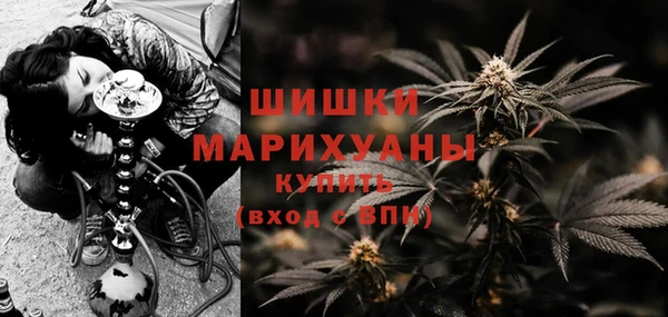 гидра Дмитров