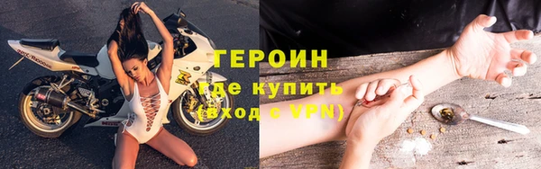 прущие грибы Дмитровск