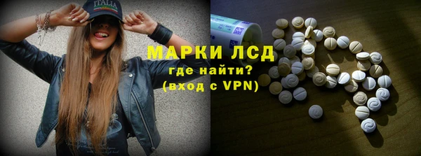прущие грибы Дмитровск