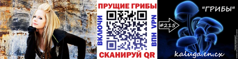 Псилоцибиновые грибы GOLDEN TEACHER Купить где Кирсанов